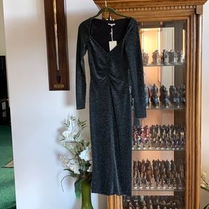 Beautiful Tularosa dress that shimmers